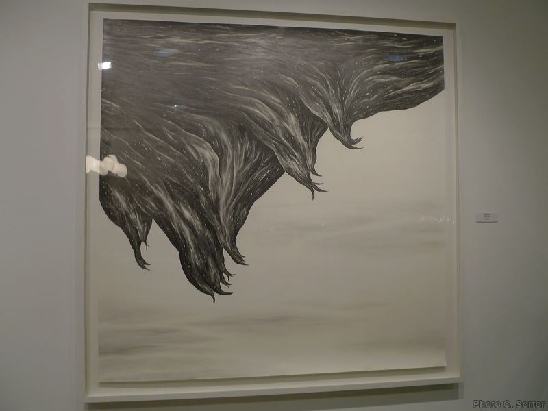 p1080810.jpg