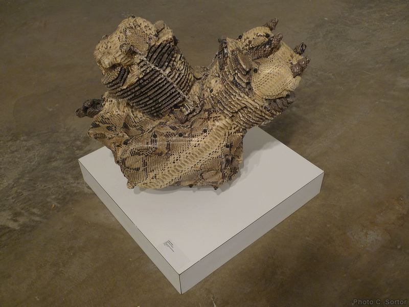 p1090076.jpg