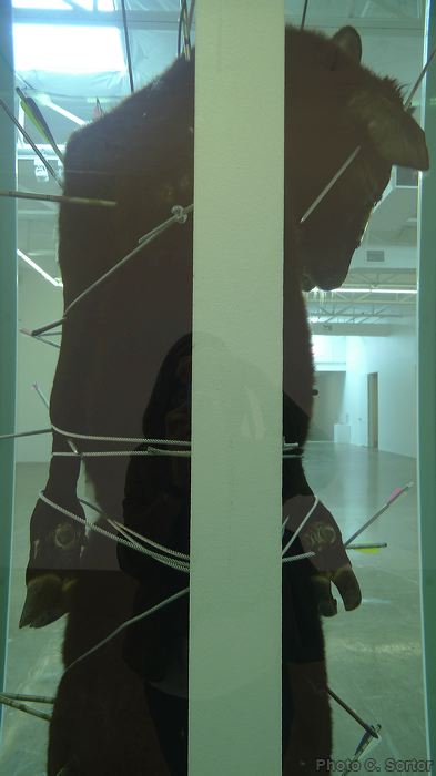 p1080738.jpg