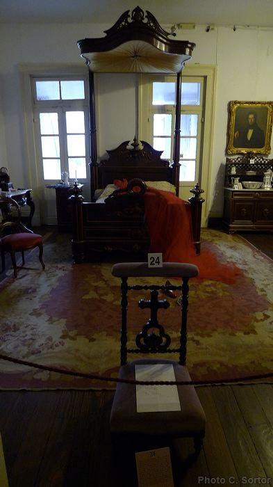 p1110610.jpg