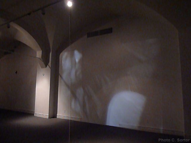 p1110665.jpg