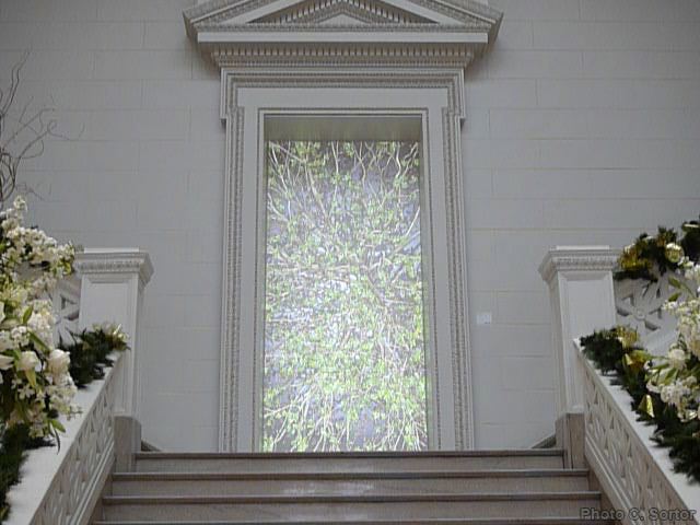p1110716.jpg