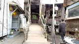 p1120008-c-web_560__7ea641d