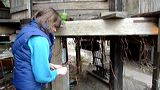 p1120091-c-web_560__7ea64f9
