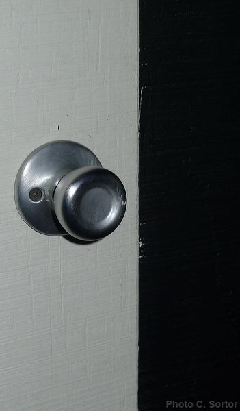p1120833adj.jpg