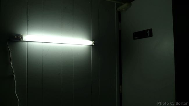 p1120835.jpg
