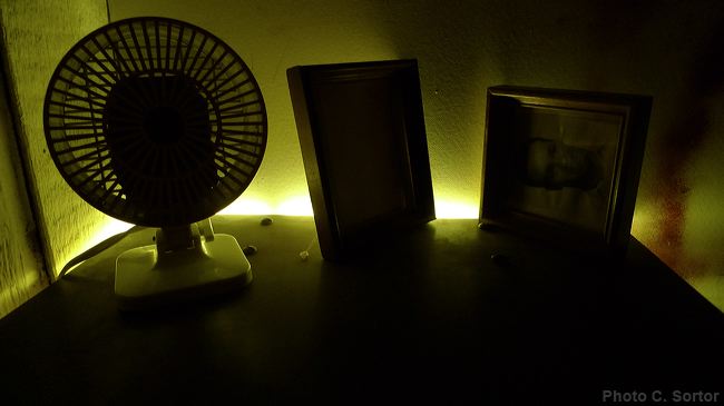 p1130023.jpg