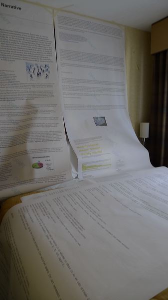 p1140202.jpg