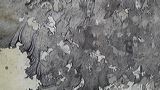 p1140313