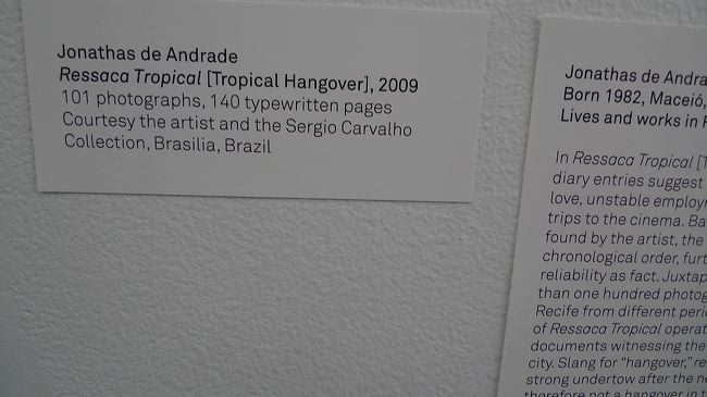 p1140290.jpg