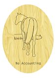 no_accounting(2006)