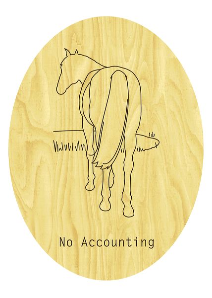 no_accounting(2006).jpg