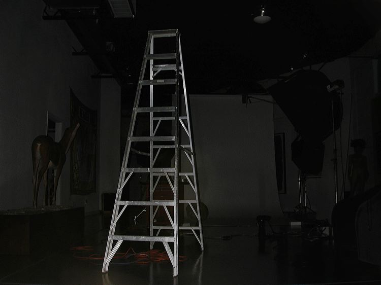 ladder_(2003).jpg