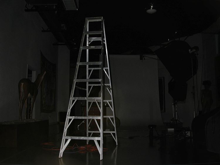 ladder_(2003).jpg